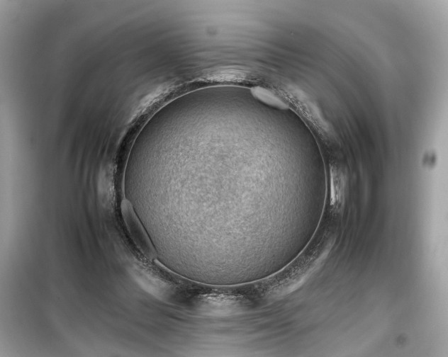 X0000099530300200805161218