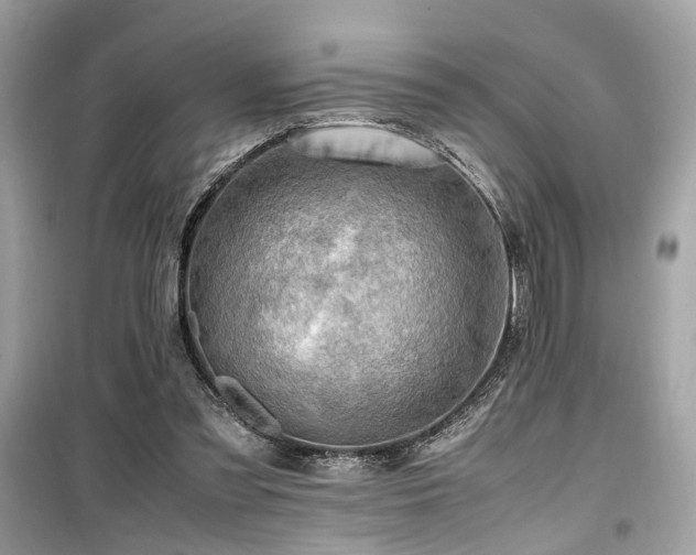 X0000099530301200805161218
