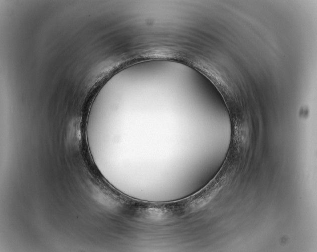X0000099530302200805161218