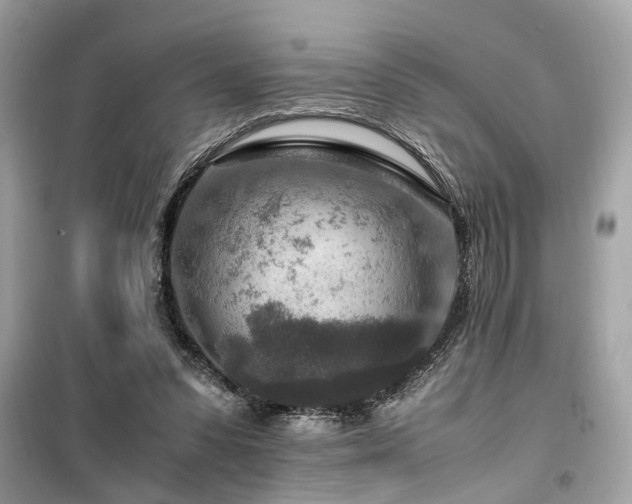 X0000099530303200805161218