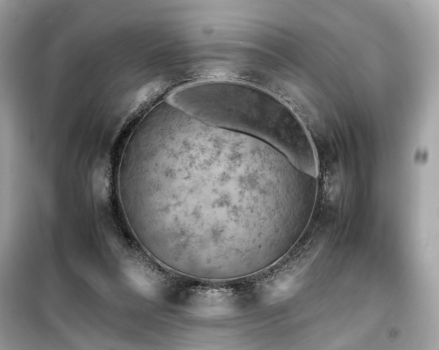 X0000099530304200805161218