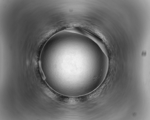 X0000099530305200805161218
