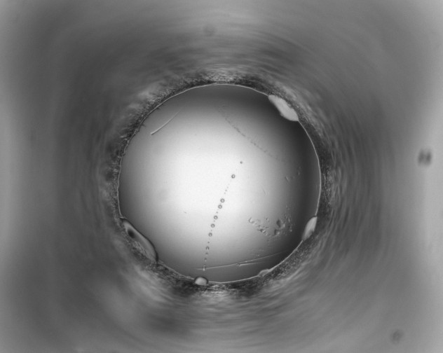 X0000099530307200805161218