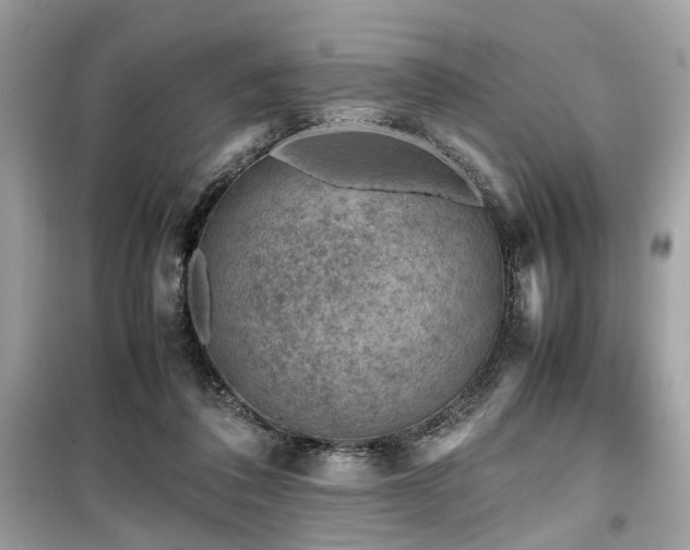 X0000099530308200805161218