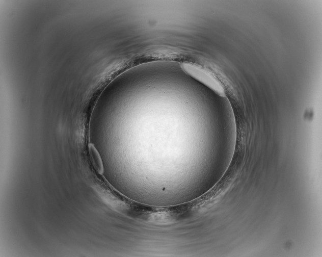 X0000099530309200805161218