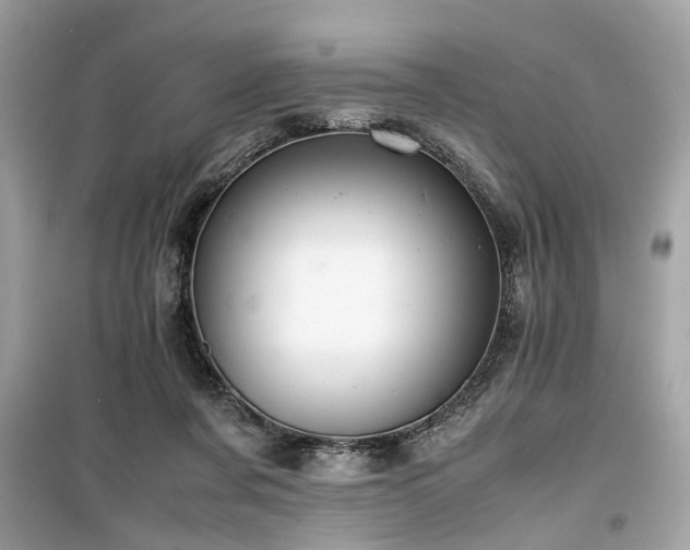 X0000099530311200805161218