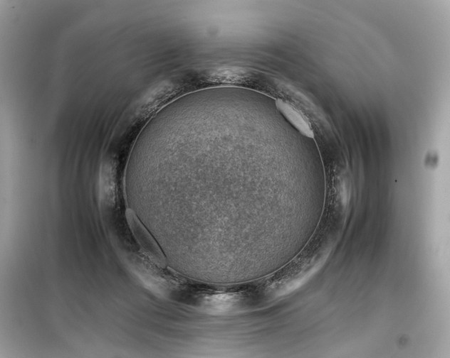 X0000099530312200805161218