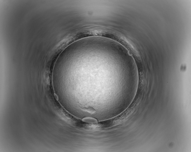 X0000099530313200805161218