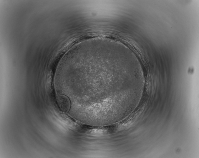 X0000099530314200805161218