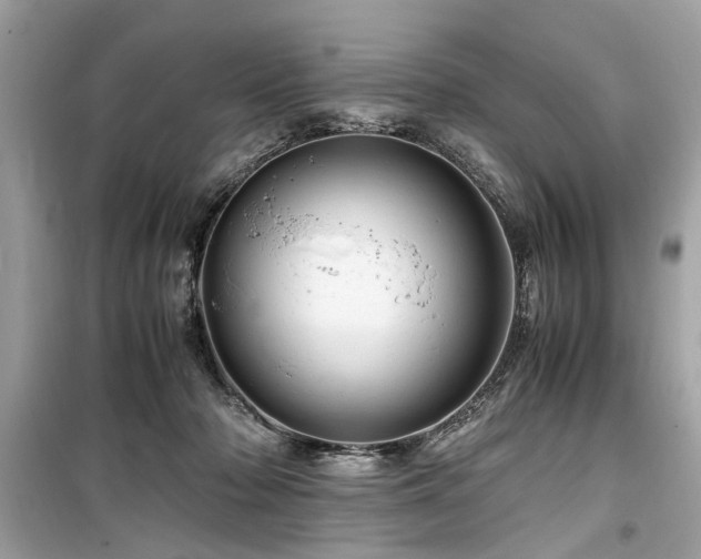 X0000099530318200805161218