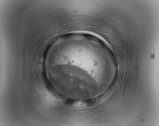X0000099530319200805161218