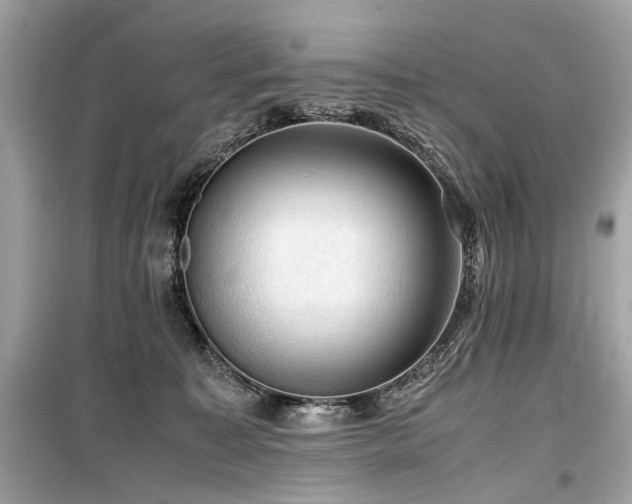 X0000099530323200805161217