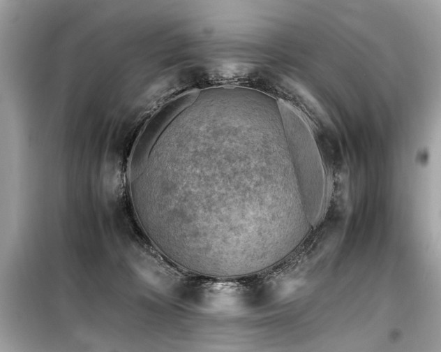 X0000099530324200805161217