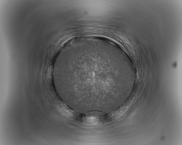 X0000099530325200805161217
