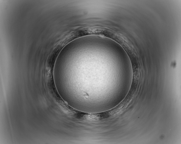 X0000099530327200805161217
