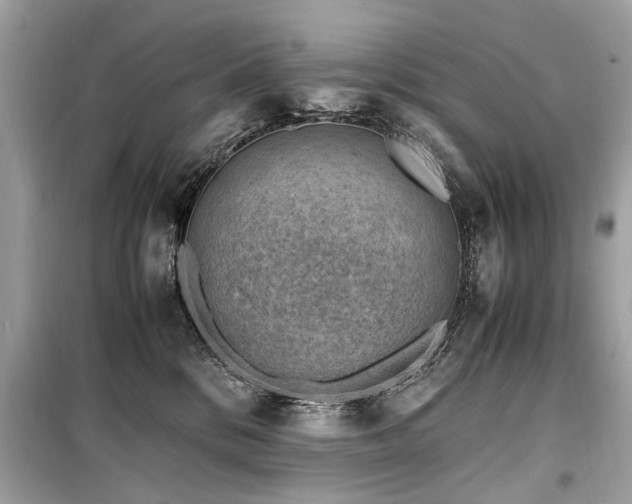 X0000099530328200805161217