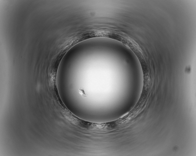 X0000099530329200805161217