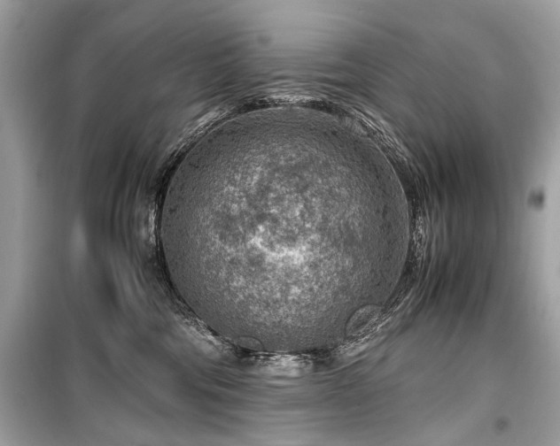 X0000099530330200805161217