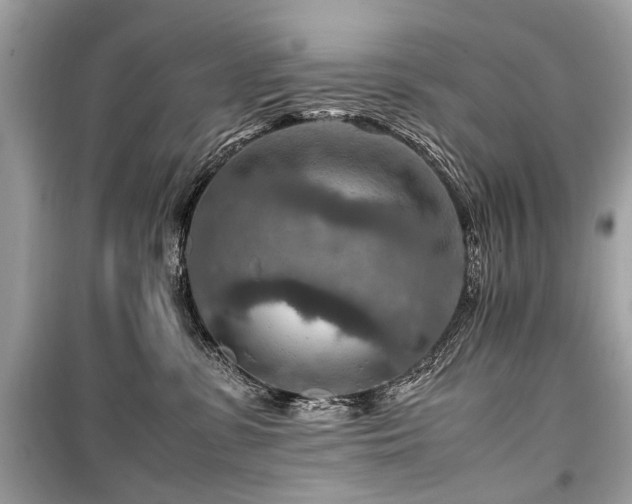 X0000099530331200805161217