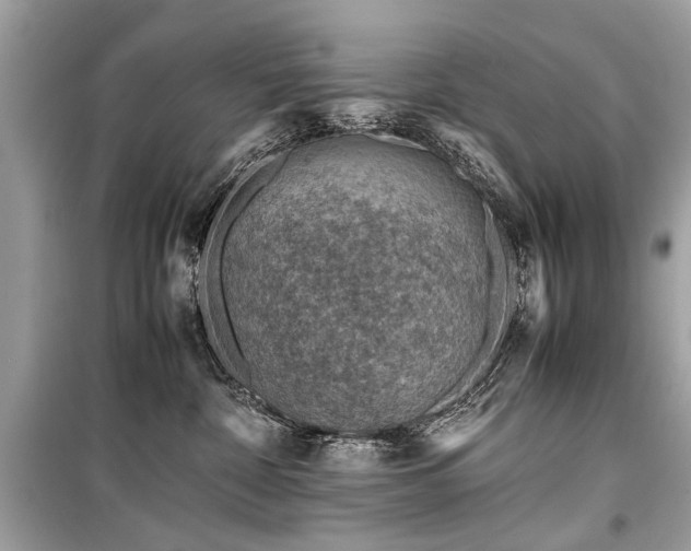X0000099530332200805161217