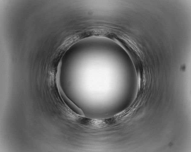 X0000099530333200805161217