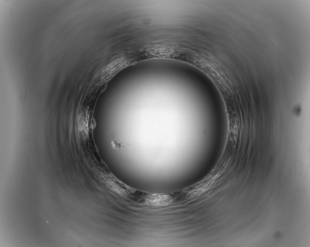 X0000099530334200805161217