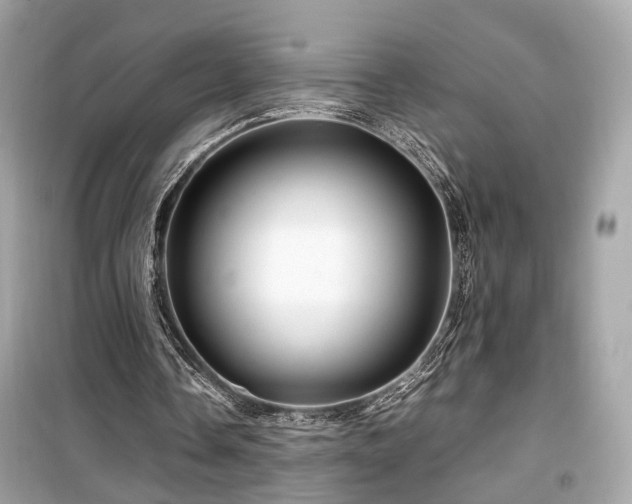 X0000099530338200805161217