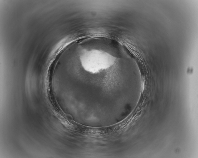 X0000099530339200805161217