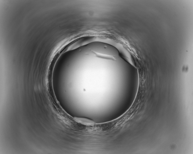 X0000099530340200805161217