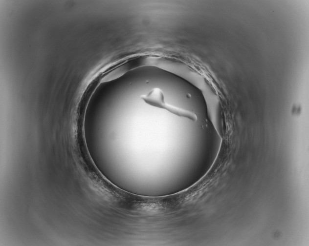 X0000099530344200805161217