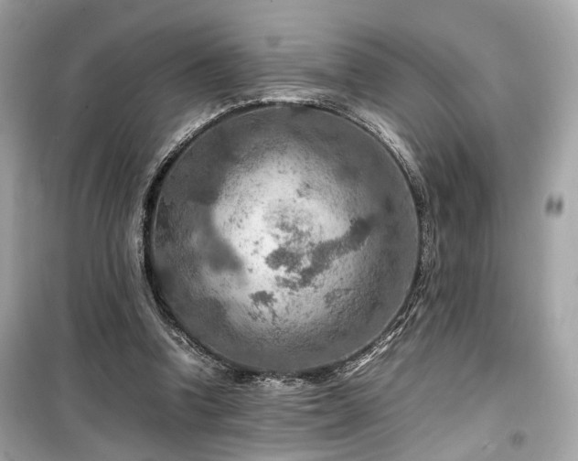 X0000099530346200805161217