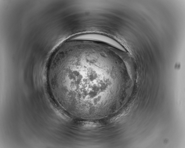 X0000099530347200805161217
