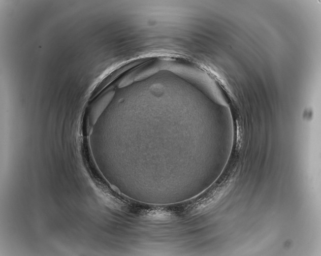 X0000099530348200805161217