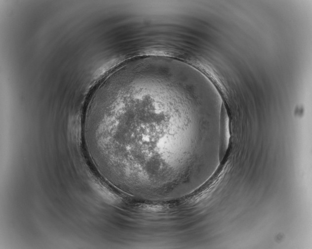 X0000099530349200805161217