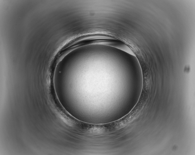 X0000099530350200805161217