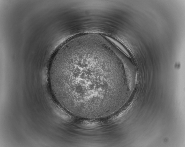 X0000099530351200805161217