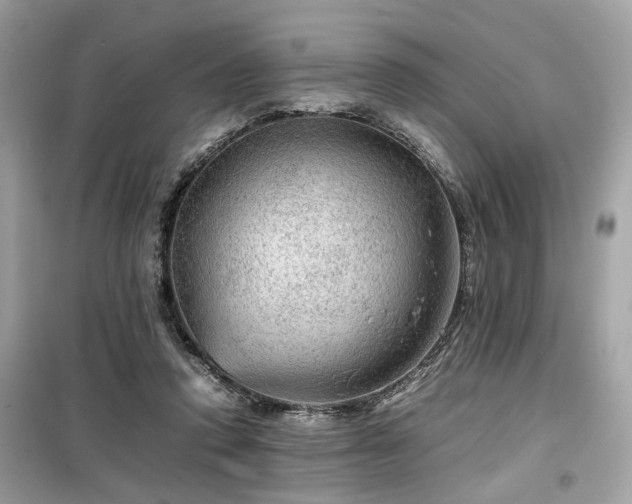 X0000099530354200805161217
