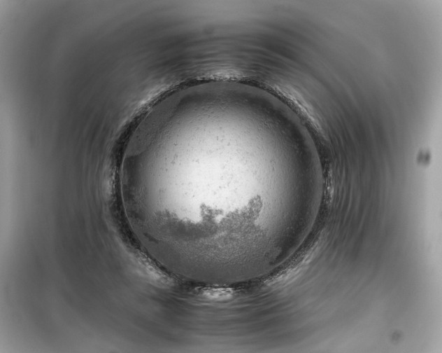 X0000099530355200805161217
