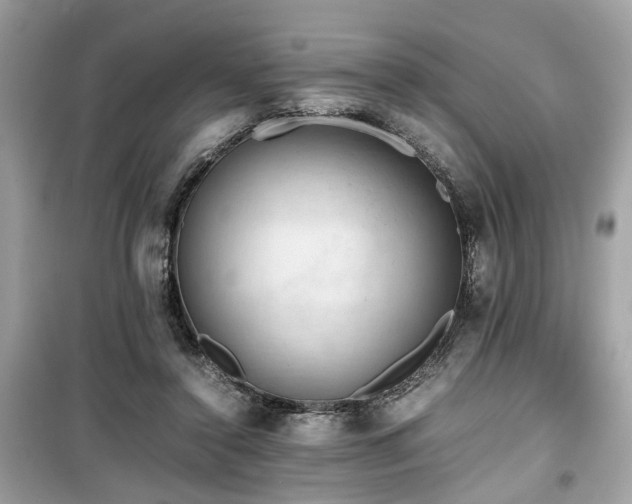 X0000099530356200805161217