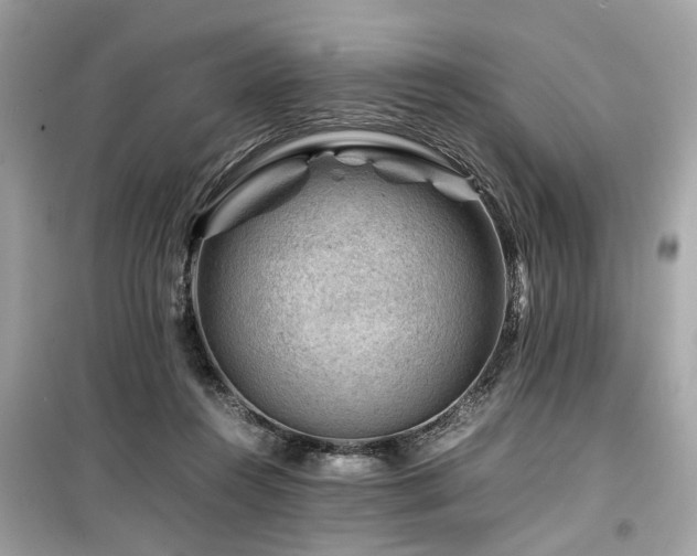 X0000099530360200805161217