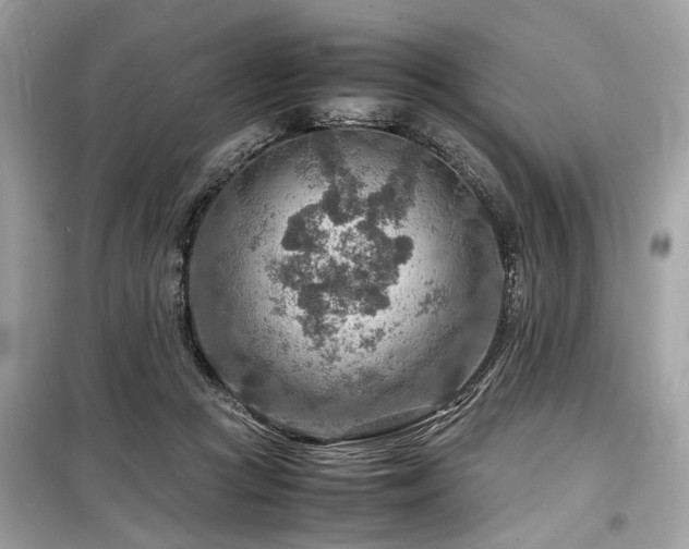 X0000099530361200805161217