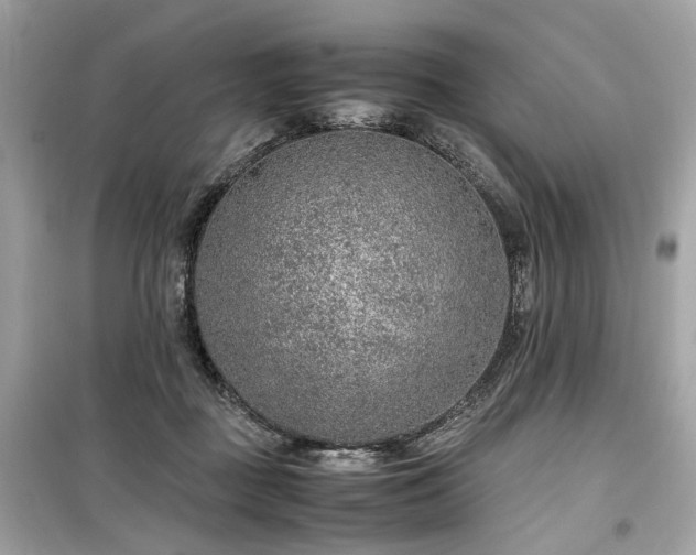 X0000099530363200805161217