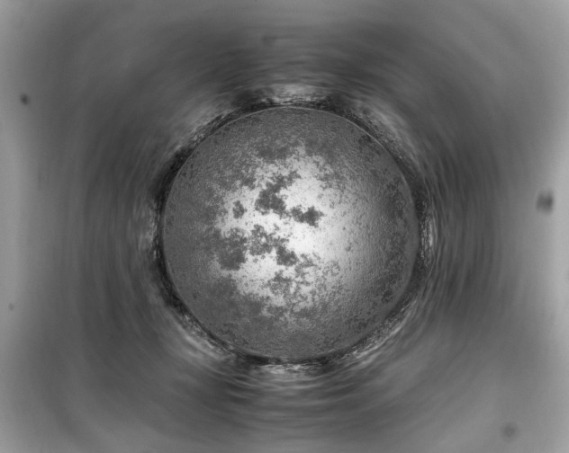 X0000099530367200805161217