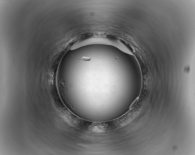 X0000099530368200805161217