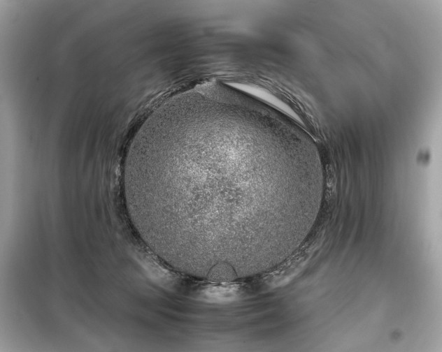 X0000099530369200805161217