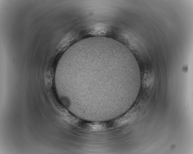 X0000099530370200805161217