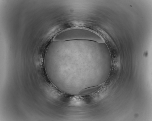 X0000099530372200805161217