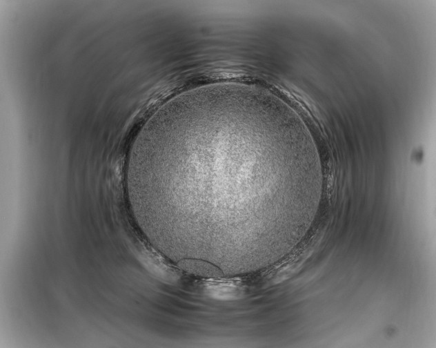 X0000099530373200805161217