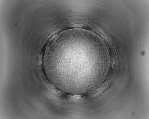 X0000099530374200805161217