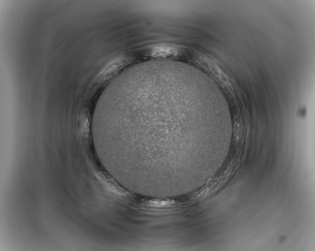 X0000099530375200805161217